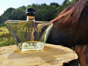 Luxury Mead Horse Stallion Mare Pretty